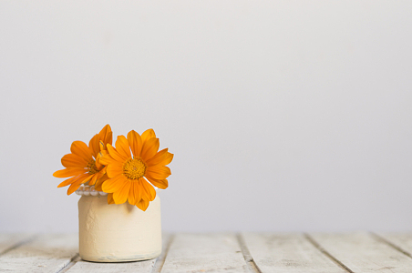 唯美白色木地板纹理干花展示背景素材