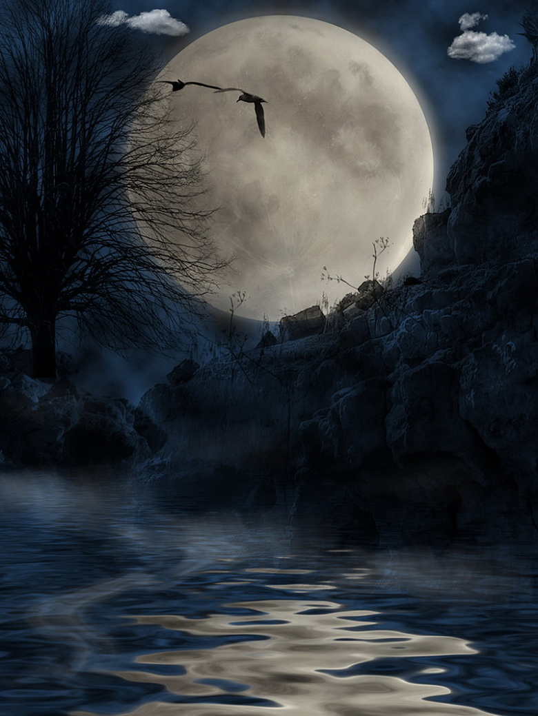月圆夜背景