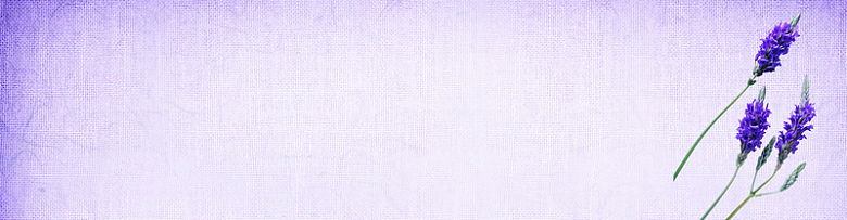 紫色纹理薰衣草背景