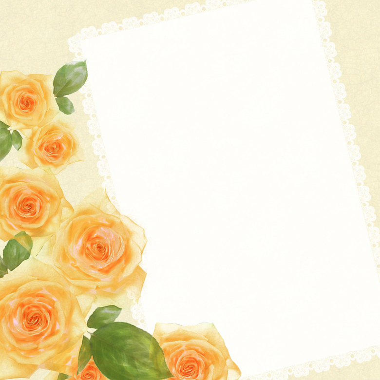 玫瑰花装饰相册边框背景