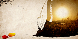 青春浅棕色纹理背景素材