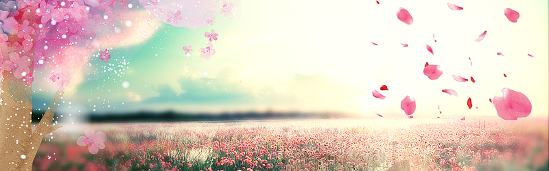 淘宝 天猫 banner