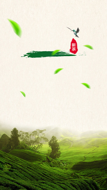 绿色茶园背景