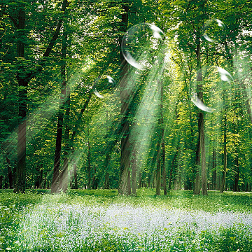 绿色简约大气背景素材_绿色简约大气背景图片元素-觅元素