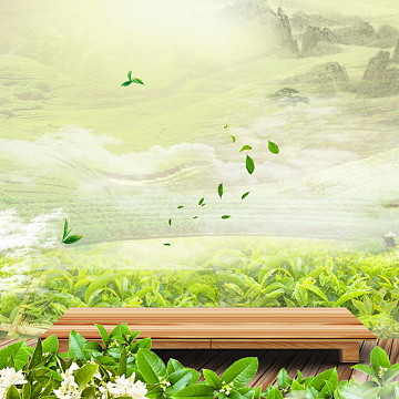 清新绿色茶叶psd分层主图背景素材