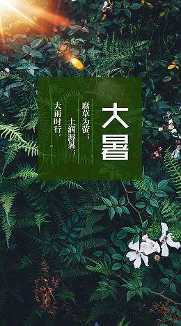 夏季大暑风景背景图