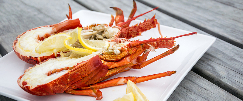 美味的大龙虾美食高清图片