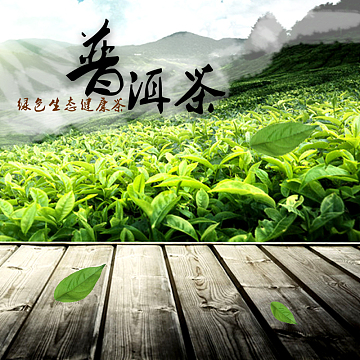 普洱茶茶园风景PSD分层主图背景素材