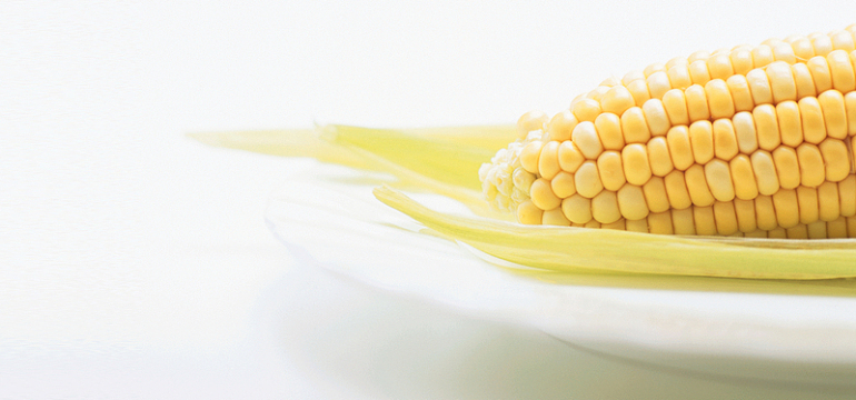 背景图jpg食物棕色矢量餐饮玉米海报bannerpsdjpg麦田玉米秋收jpg大气