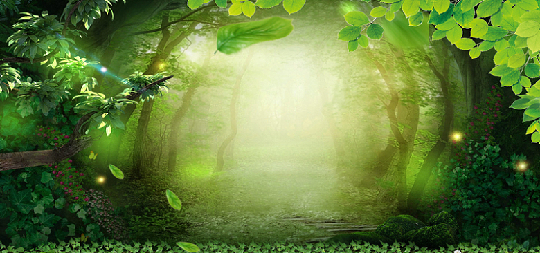 自然风景绿色化妆品海报背景
