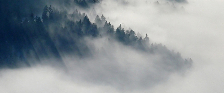 虚幻在雾里的山峰图片