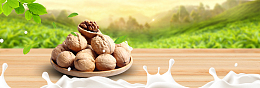 牛奶味山核桃促销景色banner