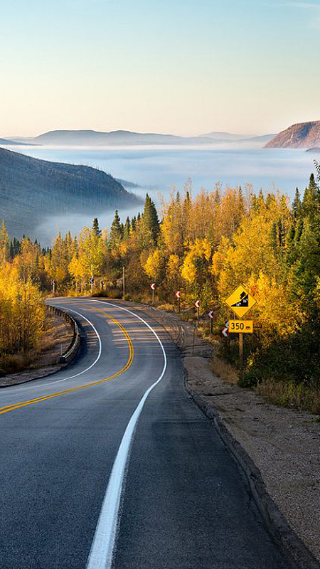 唯美秋叶背景素材_唯美秋叶背景图片下载_觅元素