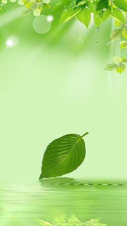 绿色梦幻波纹绿叶水珠H5背景素材