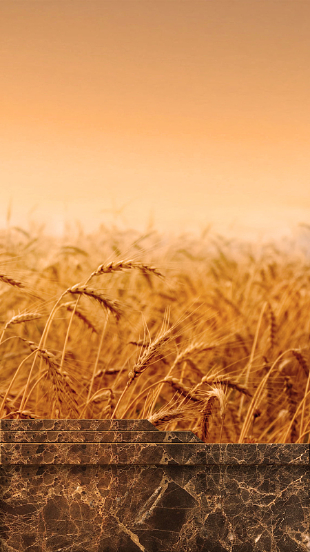 (1280x1920)psdpng去哪儿几何黄色金秋活动h5背景素材(1280x1920)psdp