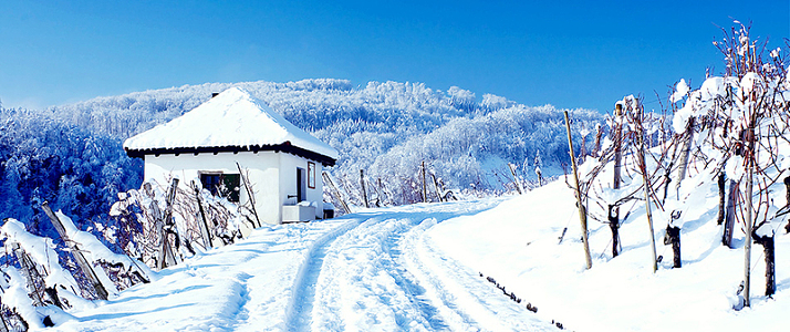 唯美雪景