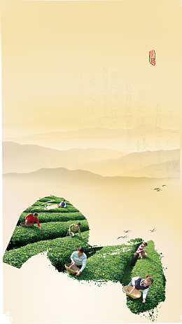 茶叶茶园品茶背景