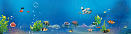 海洋生物背景