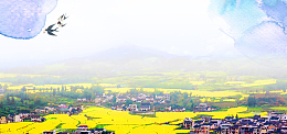 婺源油菜花大气燕子渲染水彩中国风背景