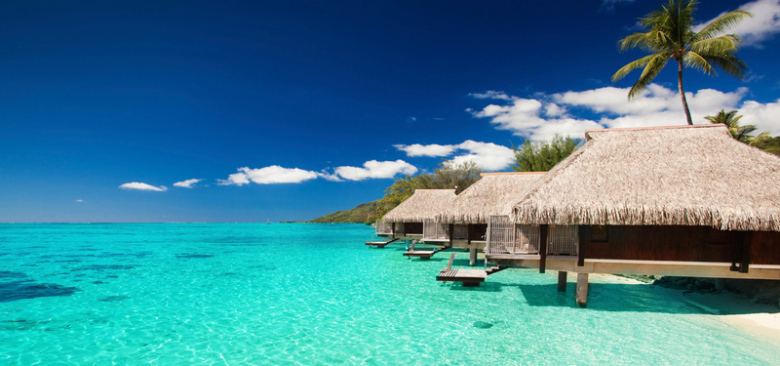 夏威夷风格淘宝背景图免抠素材免费下载_觅元素51yuansu.com