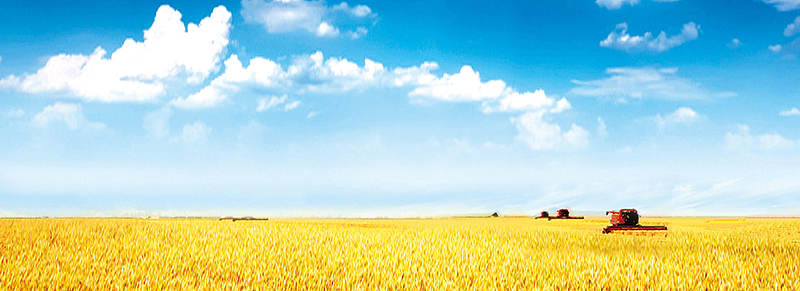 旅游摄影风景海报banner
