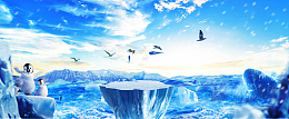 雪山旅游景色企鹅户外景色蓝色banner