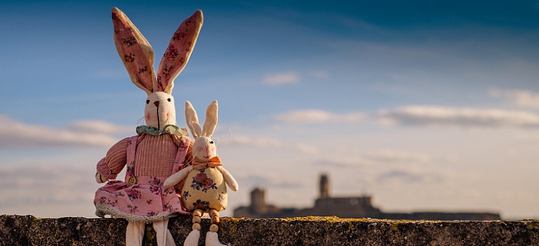 摄影阳台上的两只兔子