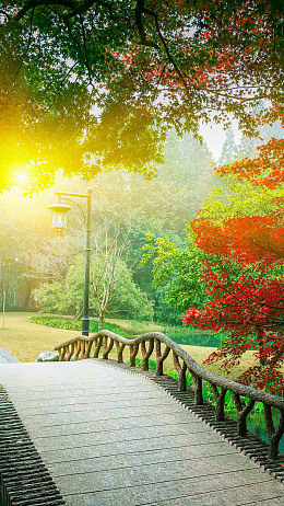高清浪漫午后公园背景