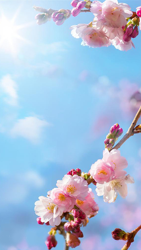 天空阳光蓝色h5背景