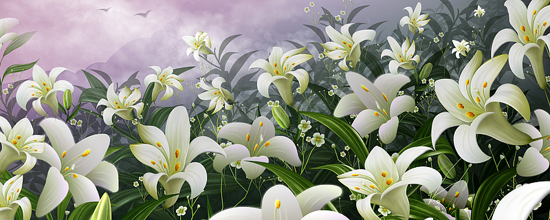 百合花风景淘宝网站背景图
