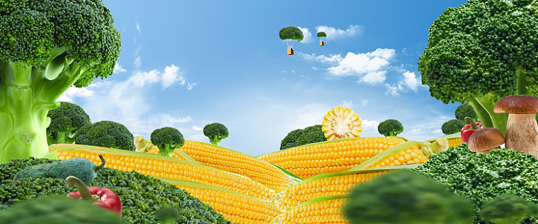 玉米蔬菜风景banner