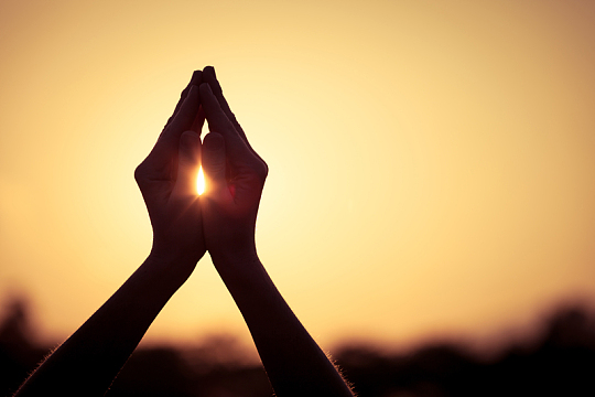 正对着阳光的合十双手