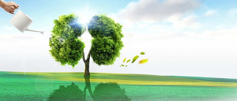 植树节创意大树肺公益环保海报背景