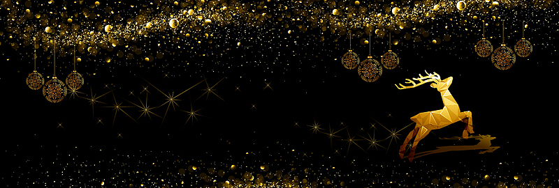 圣诞节狂欢banner