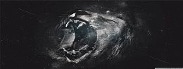 唯品会banner