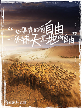 向往自由的海报宣传
