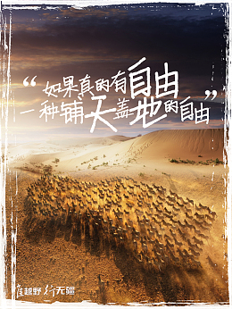 向往自由的海报宣传