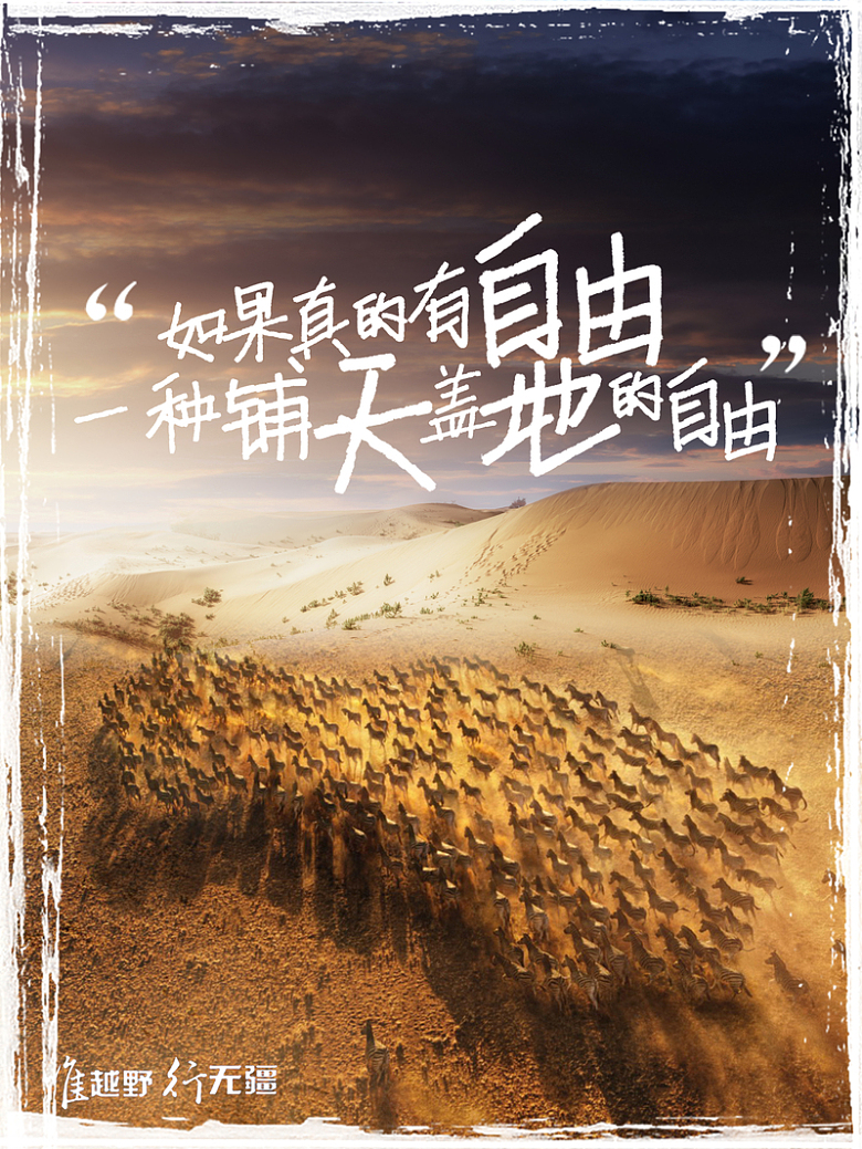 向往自由的海报宣传