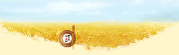 黄色  小麦 节约  粮食  背景banner