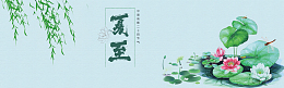 夏至荷花海报背景