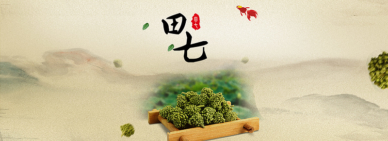 田七中药背景