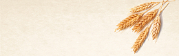 二十四节气芒种稻谷简约淘宝电商banner