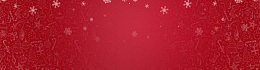 圣诞红色喜庆banner