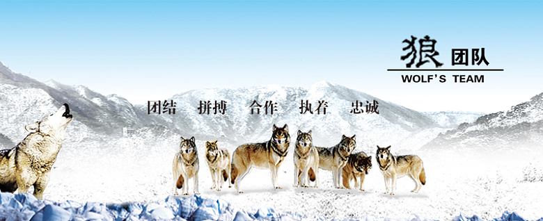 狼团队雪山背景图