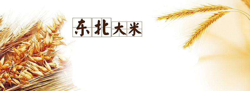 淘宝东北大米海报图片