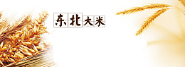 淘宝东北大米海报图片