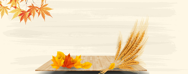 秋季丰收食品麦穗枫叶背景