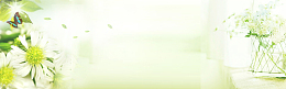 春季新品淡雅绿色清新淘宝海报banner