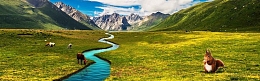 淘宝草原山脉banner背景