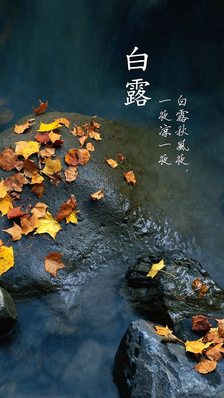 节气H5背景